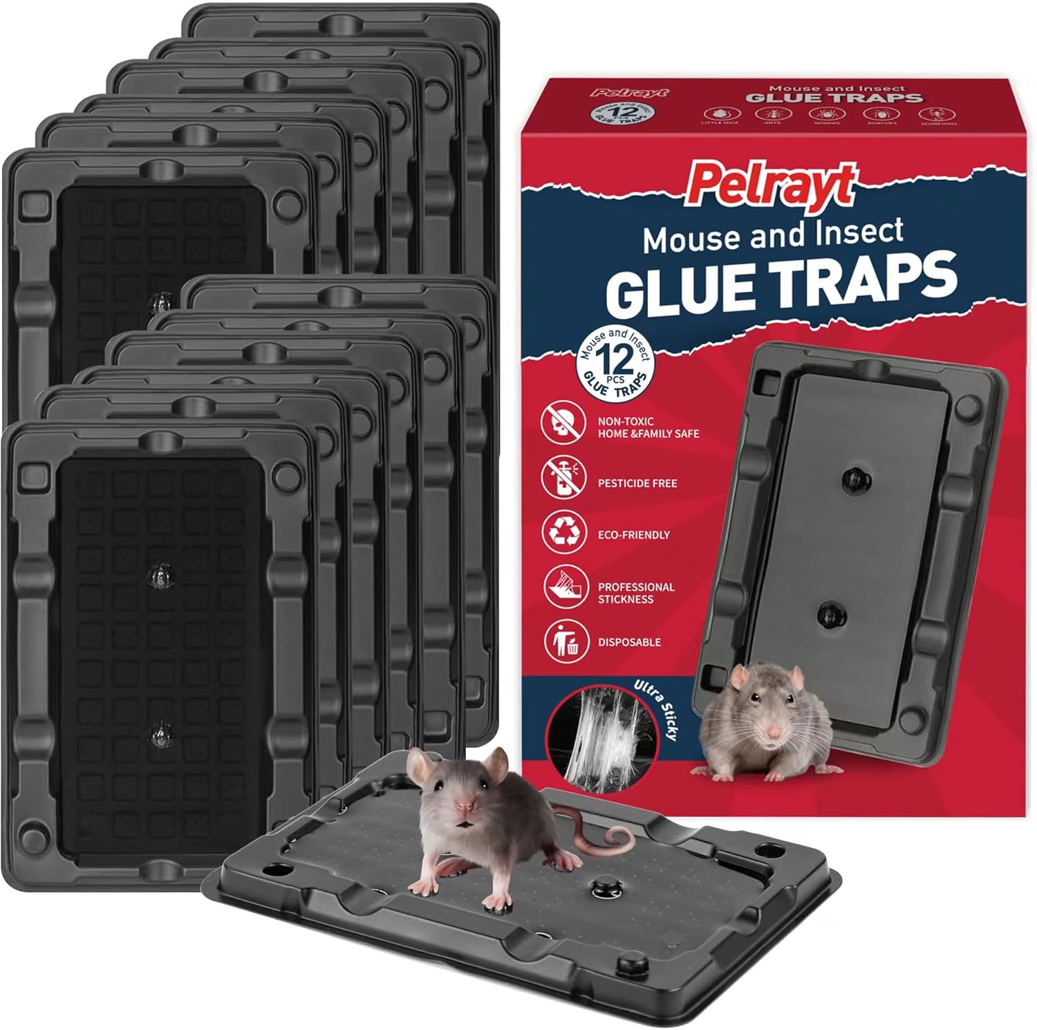 Glue Mouse Traps